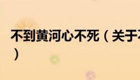 不到黄河心不死（关于不到黄河心不死的介绍）