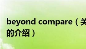 beyond compare（关于beyond compare的介绍）