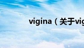 vigina（关于vigina的介绍）