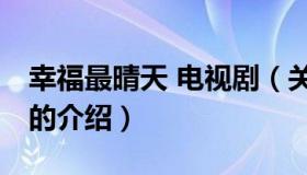 幸福最晴天 电视剧（关于幸福最晴天 电视剧的介绍）