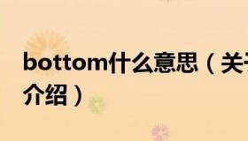 bottom什么意思（关于bottom什么意思的介绍）