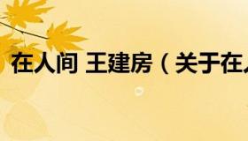 在人间 王建房（关于在人间 王建房的介绍）