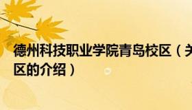 德州科技职业学院青岛校区（关于德州科技职业学院青岛校区的介绍）