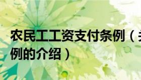 农民工工资支付条例（关于农民工工资支付条例的介绍）