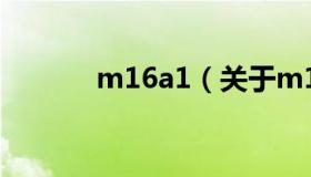 m16a1（关于m16a1的介绍）