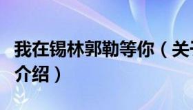 我在锡林郭勒等你（关于我在锡林郭勒等你的介绍）