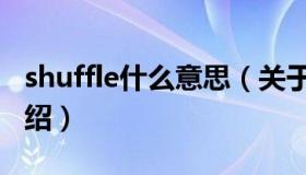 shuffle什么意思（关于shuffle什么意思的介绍）