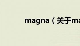 magna（关于magna的介绍）