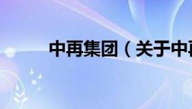 中再集团（关于中再集团的介绍）