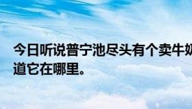 今日听说普宁池尽头有个卖牛奶的女人。是真的吗？我不知道它在哪里。