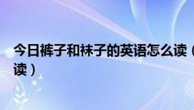 今日裤子和袜子的英语怎么读（袜子和短裤的英语单词怎么读）