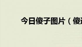 今日傻子图片（傻逼是什么意思）