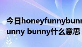 今日honeyfunnybunny什么意思（honey funny bunny什么意思）