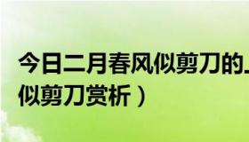 今日二月春风似剪刀的上一句诗句（二月春风似剪刀赏析）