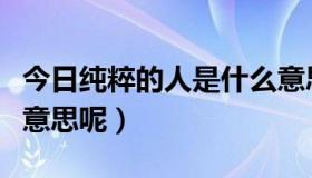 今日纯粹的人是什么意思呢（纯粹的人是什么意思呢）