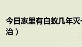 今日家里有白蚁几年灭一次（家里有白蚁怎么治）