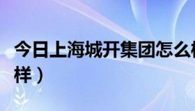 今日上海城开集团怎么样（上海城开集团怎么样）