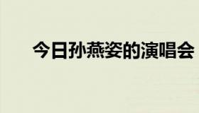 今日孙燕姿的演唱会（孙燕姿的资料）