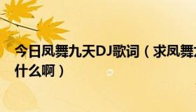 今日凤舞九天DJ歌词（求凤舞九天dj现场1里所有的歌名叫什么啊）