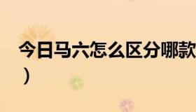 今日马六怎么区分哪款（新马6和老款的区别）