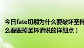 今日fate切嗣为什么要破坏圣杯（fate zero里卫宫切嗣为什么要毁掉圣杯请说的详细点）