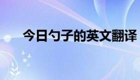 今日勺子的英文翻译（勺子的英语是）