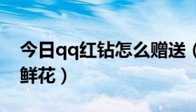 今日qq红钻怎么赠送（红钻怎么免费送好友鲜花）