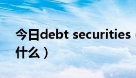 今日debt securities（Secured Debt代表什么）