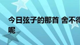 今日弦子的那首 舍不得所表达的含义是什么呢