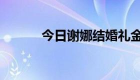 今日谢娜结婚礼金（谢娜结婚）