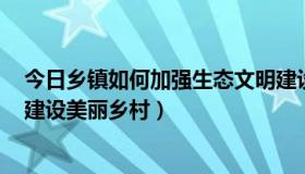 今日乡镇如何加强生态文明建设（如何加强生态文明建设，建设美丽乡村）