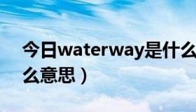 今日waterway是什么意思（ecosway是什么意思）