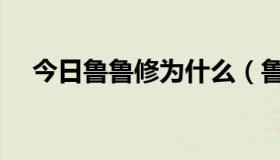 今日鲁鲁修为什么（鲁鲁修是喜欢谁的）