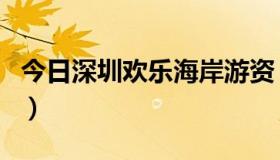 今日深圳欢乐海岸游资（深圳欢乐海岸好玩吗）