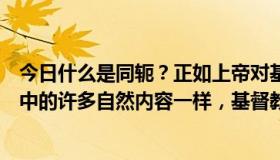 今日什么是同轭？正如上帝对基督教信仰的揭示扭曲了人性中的许多自然内容一样，基督教信仰中的法律也是如此