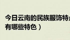 今日云南的民族服饰特点（云南少数民族服饰有哪些特色）