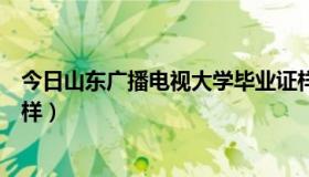 今日山东广播电视大学毕业证样本（山东广播电视大学怎么样）