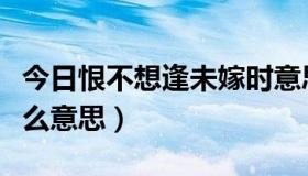 今日恨不想逢未嫁时意思（恨不逢君未嫁时什么意思）