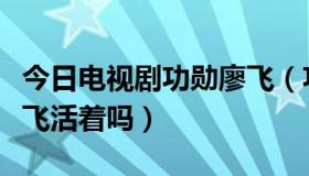 今日电视剧功勋廖飞（功勋的结局是什么，廖飞活着吗）