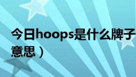 今日hoops是什么牌子手表（HOOPS是什么意思）