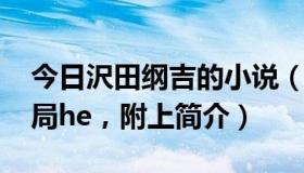 今日沢田纲吉的小说（求沢田纲吉bg文，结局he，附上简介）