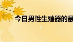 今日男性生殖器的最大尺寸是多少？