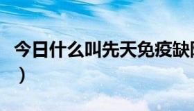 今日什么叫先天免疫缺陷（什么叫先天性心缺）