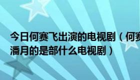 今日何赛飞出演的电视剧（何赛飞演的一部电视剧里名字叫潘月的是部什么电视剧）