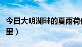 今日大明湖畔的夏雨荷什么梗（大明湖畔在哪里）