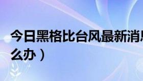 今日黑格比台风最新消息（黑格比台风来了怎么办）