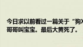 今日求以前看过一篇关于“狗X”的文章。狗叫大黄，男的哥哥叫宝宝。最后大黄死了。