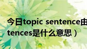 今日topic sentence由什么组成（topic sentences是什么意思）