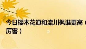 今日樱木花道和流川枫谁更高（你觉得樱木花道和流川枫谁厉害）