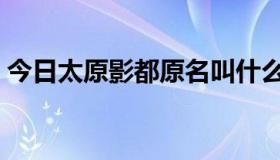 今日太原影都原名叫什么（太原影都最大厅）